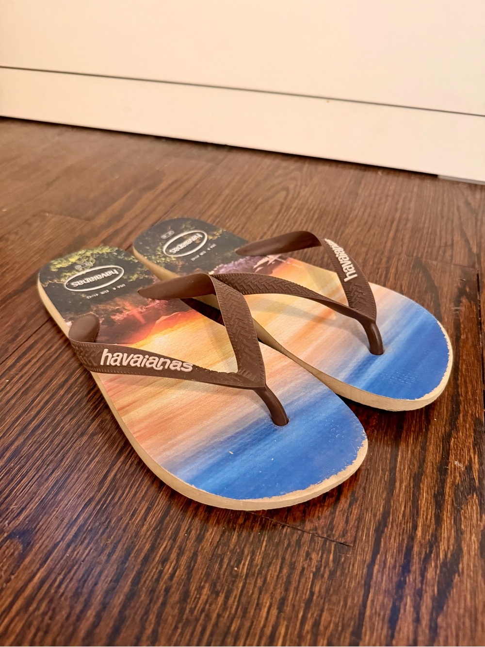Havaianas Gradient Sunset Flip Flops